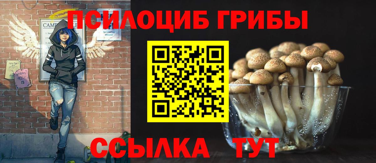 Псилоцибиновые грибы ЛСД  Вход с VPN  Галлюциногенные грибы Psilocybe  Рязань 